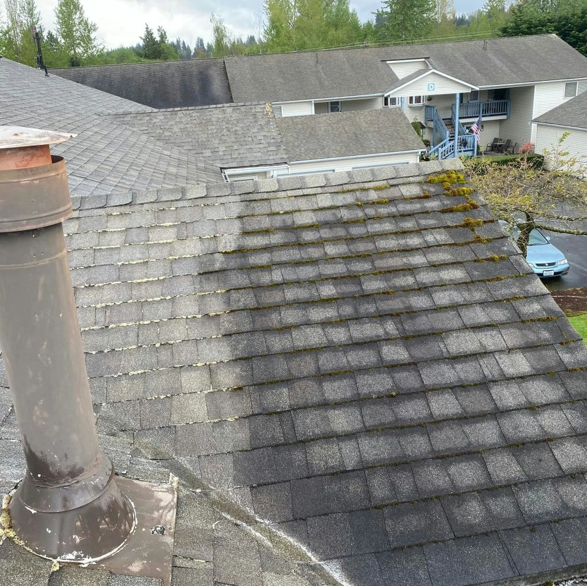 Before and after cleaning on a London deck